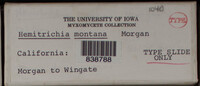 Image Associated With the Occurence